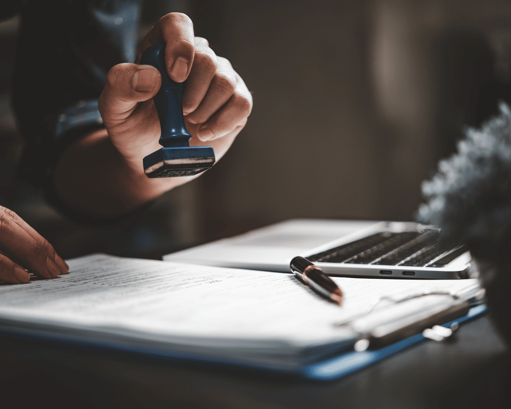 Dhanveera - Trusted Financial Solutions Provider